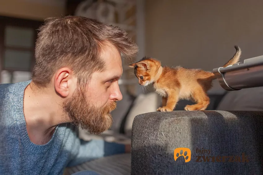 Mężczyzna i kociak patrzą na siebie
