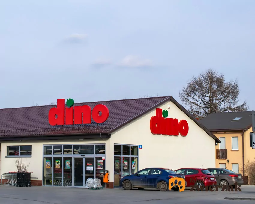Dino