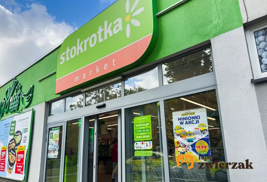 Najnowsze rabaty w Stokrotce od czwartku Sklep Stokrotka