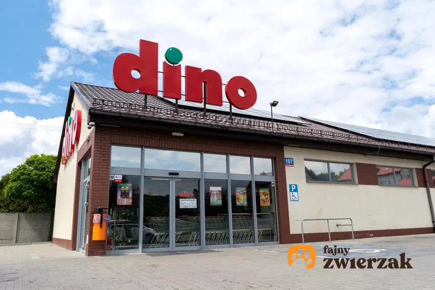 Promocja na flaki w Dino
