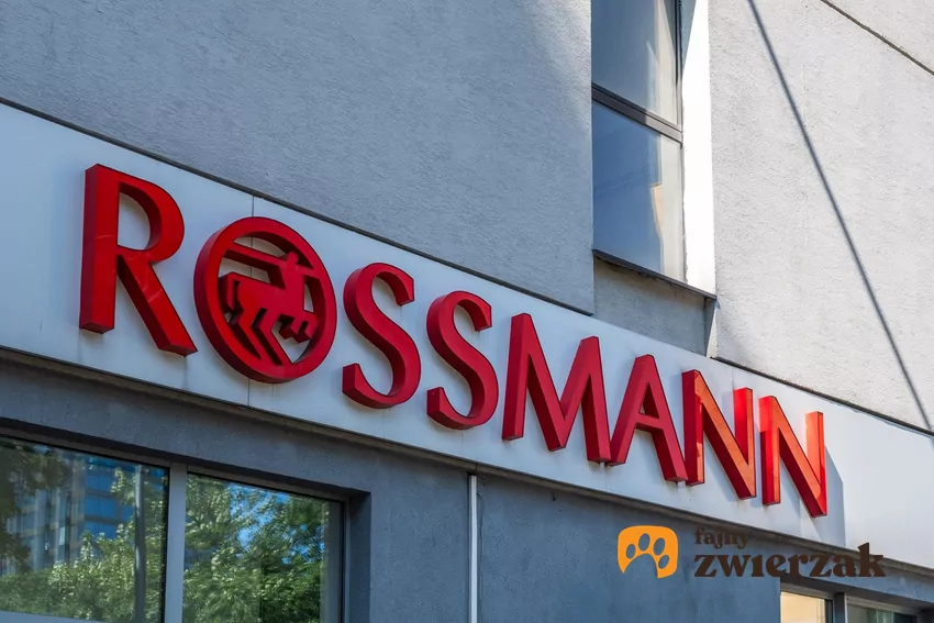 Aktualne ceny w sklepach Rossmann