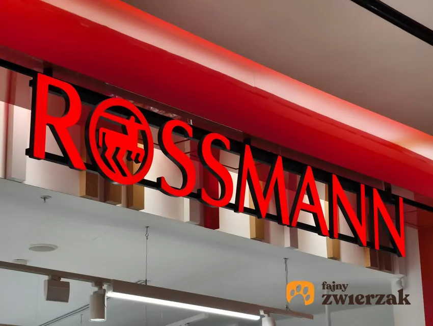 Promocja na perfumy Banderas w Rossmannie