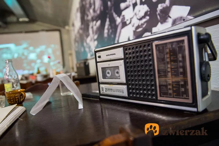Dźwięki wydawane przez radio mogą interesować niektóre koty Stare radio z czasów PRL