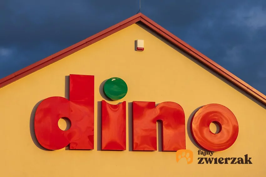 W nowej gazetce Dino dużo ciekawych promocji Dino