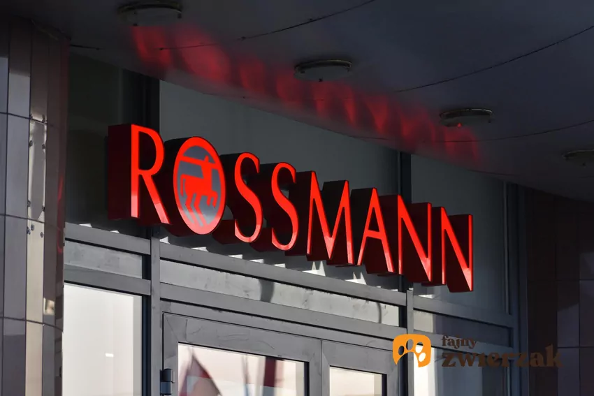 Promocja na maskę do włosów w Rossmannie