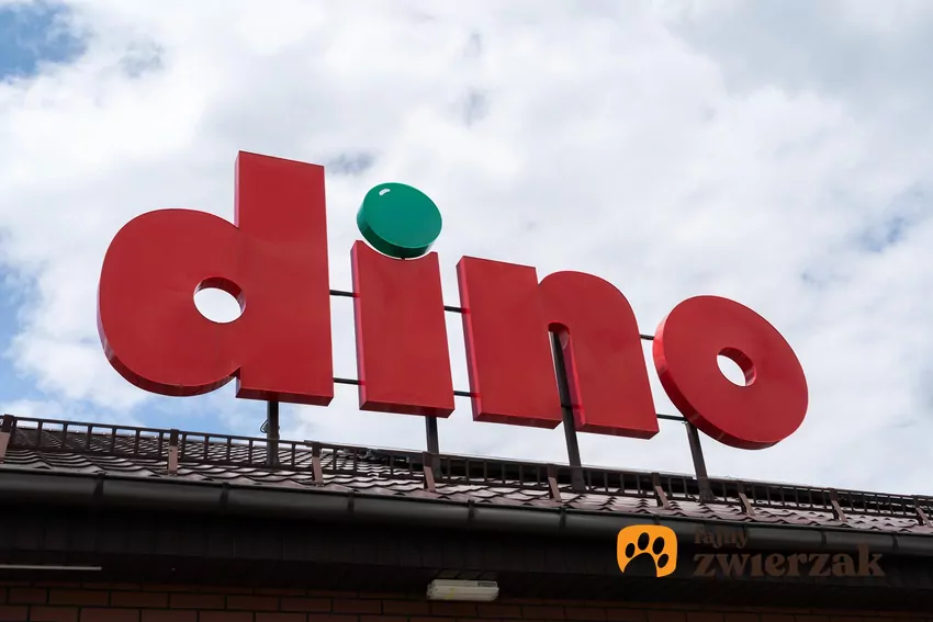 Dino