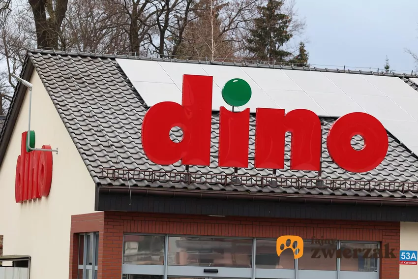 Dino