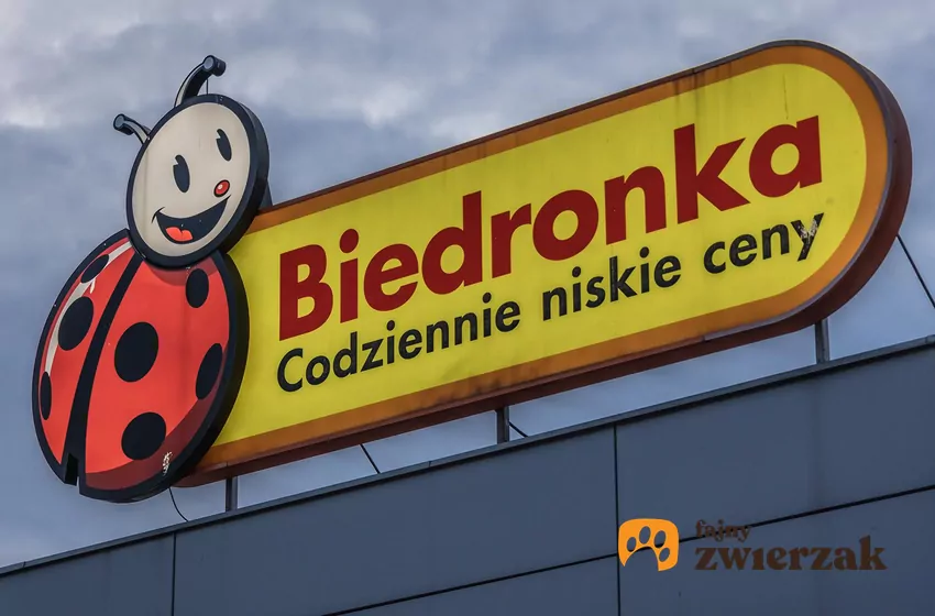 W nowej gazetce Biedronki dużo ciekawych promocji Biedronka