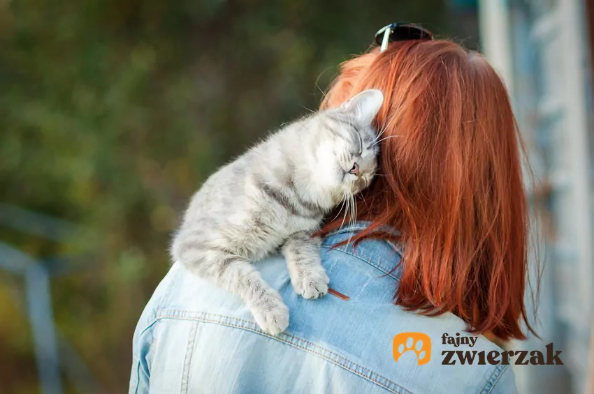 Kot przytula się do kobiety