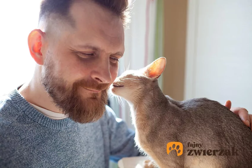 Kot wącha mężczyznę