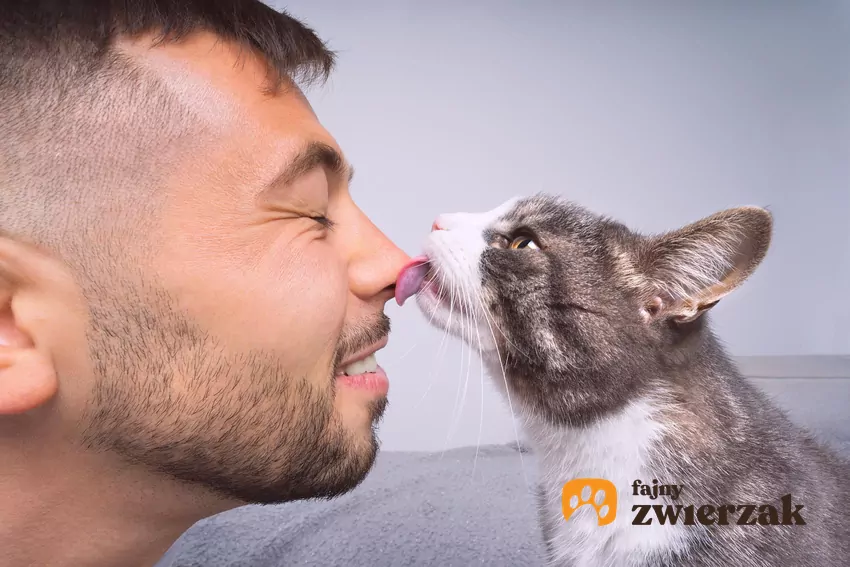 Badacze zauważyli, że koty reagują znacznie bardziej pozytywnie i chętniej wchodzą w interakcję, gdy człowiek prezentuje stonowaną, zrelaksowaną mimikę Kot liże nos mężczyzny