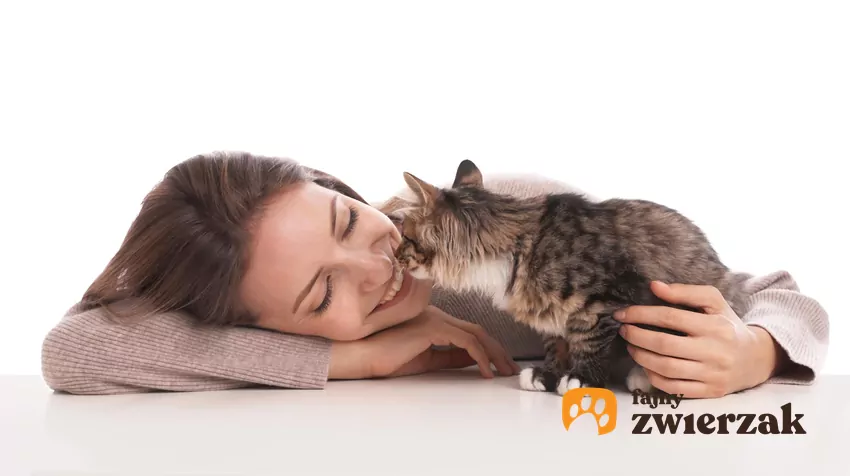 Badania opublikowane w czasopiśmie „Animal Cognition” przez zespół dr Karen Dawson wykazały, że koty potrafią odczytywać ekspresję emocjonalną ludzkiej twarzy Kot wącha twarz uśmiechniętej kobiety