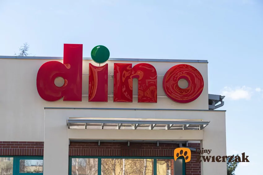 W nowej gazetce Dino dużo ciekawych promocji Dino