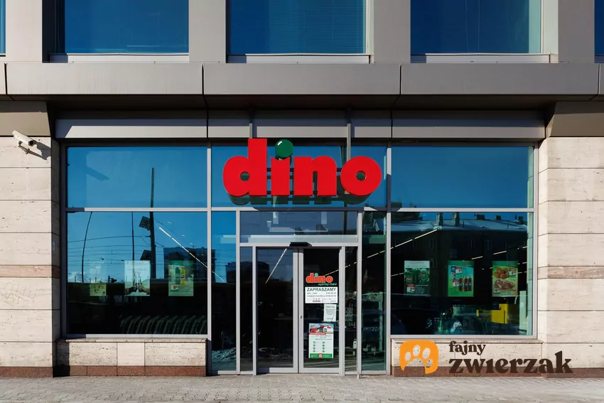 Dino