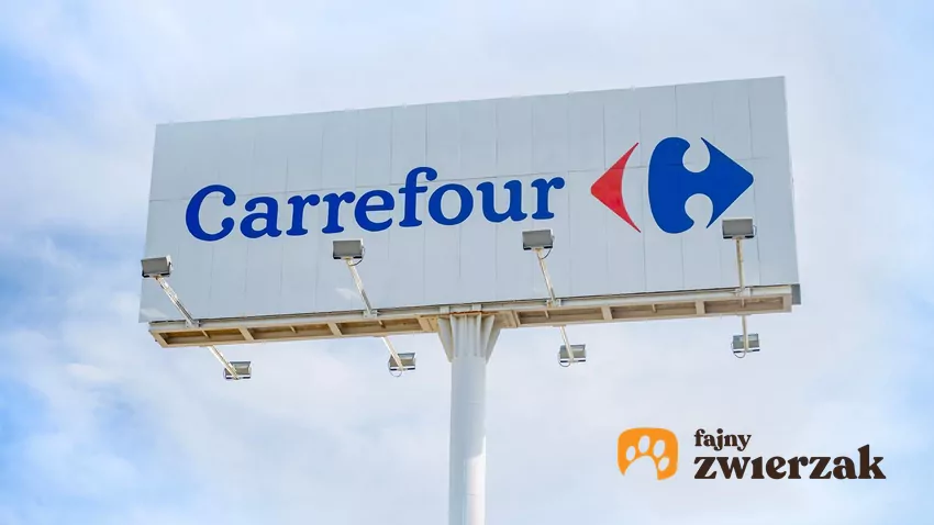 Promocja na kawę Tchibo w Carrefour