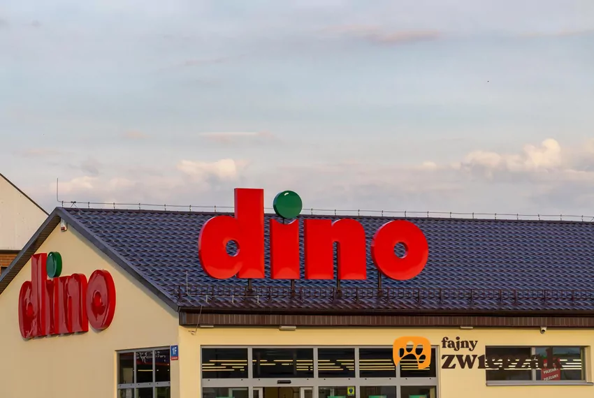 W nowej gazetce Dino dużo ciekawych promocji Dino
