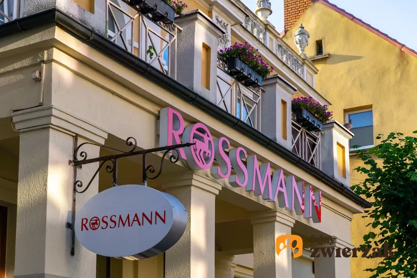 Rossmann