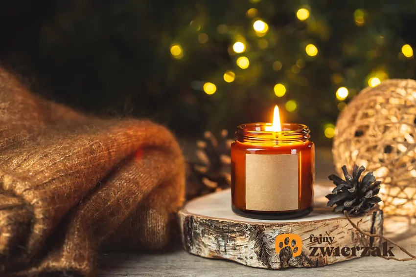 Płonąca świeca stojąca na kawałku drewna