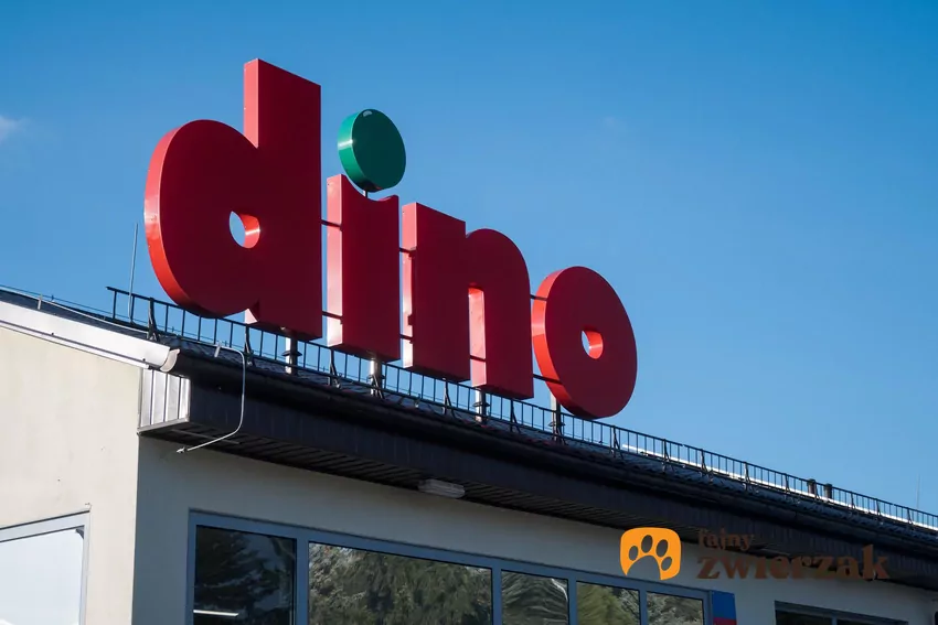 W nowej gazetce Dino dużo ciekawych promocji Dino