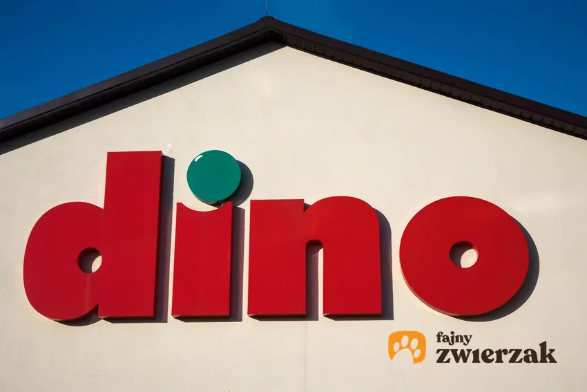 Dino