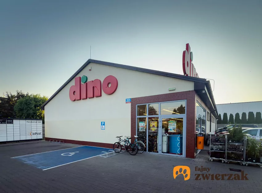 Dino