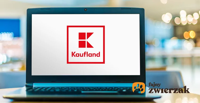 Aktualne promocje w sklepach Kaufland
