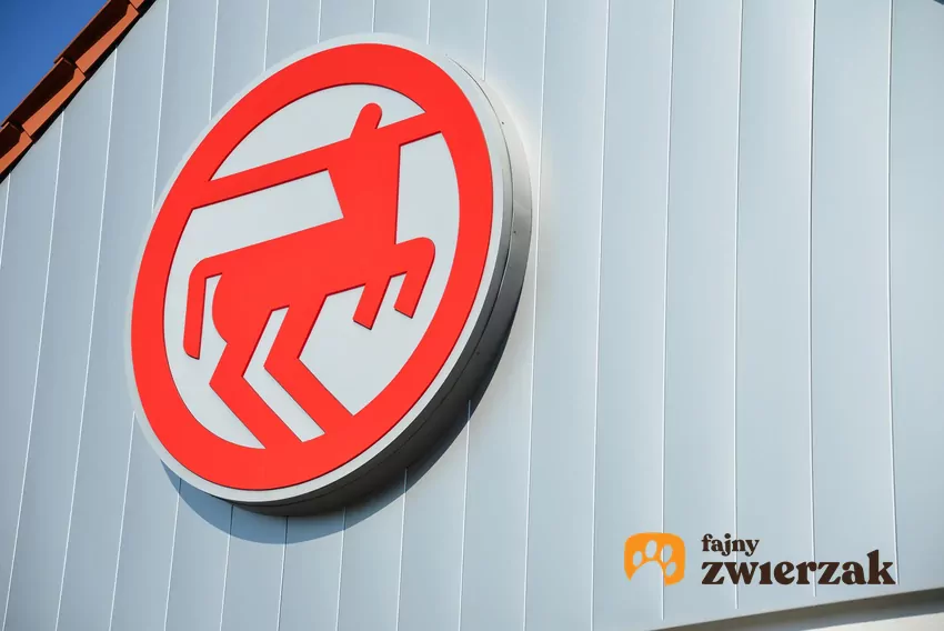 W nowej gazetce Rossmanna dużo ciekawych promocji Rossmann