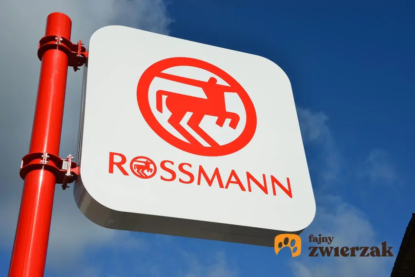 Promocja na zapach Dolce & Gabbana w Rossmannie