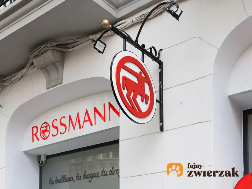 Promocja na zapach Hugo Boss Deep Red w Rossmannie