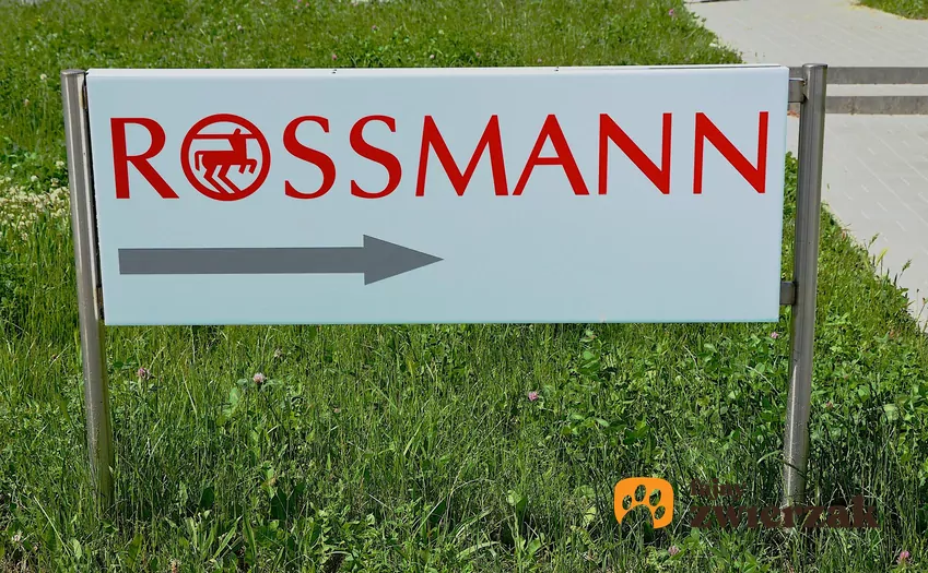 W Rossmannie dużo ciekawych promocji kultowych zapachów Rossmann