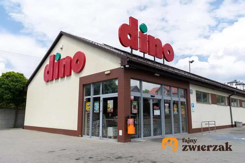 Dino