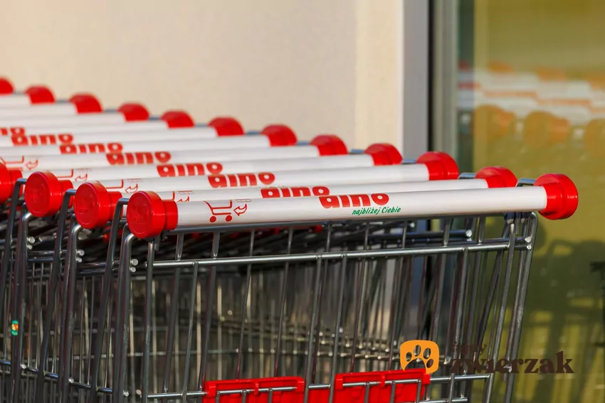 W nowej gazetce Dino dużo ciekawych promocji Dino