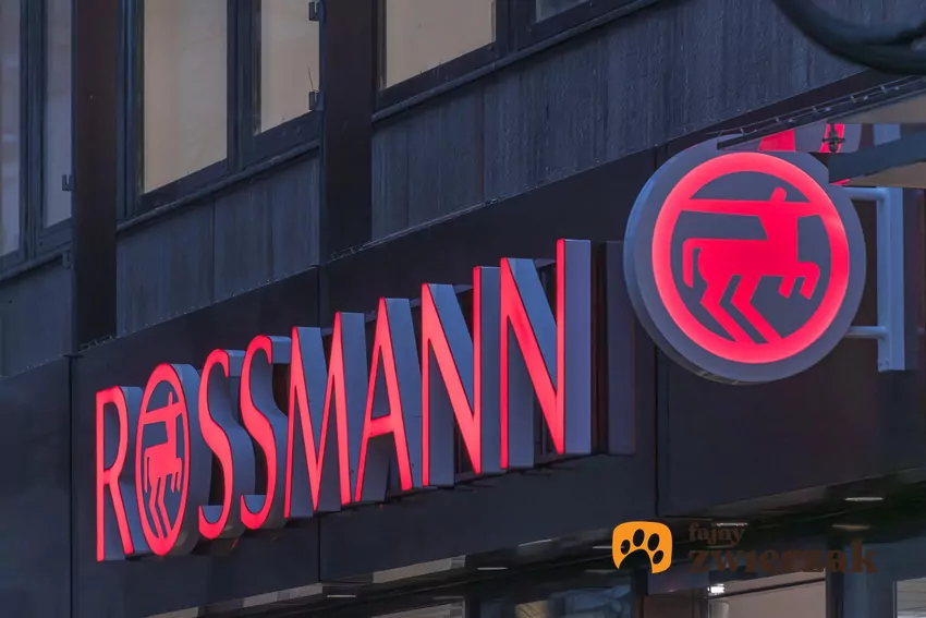 W nowej gazetce Rossmanna dużo ciekawych promocji Rossmann