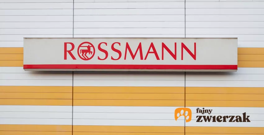 W nowej gazetce Rossmanna dużo ciekawych promocji Rossmann