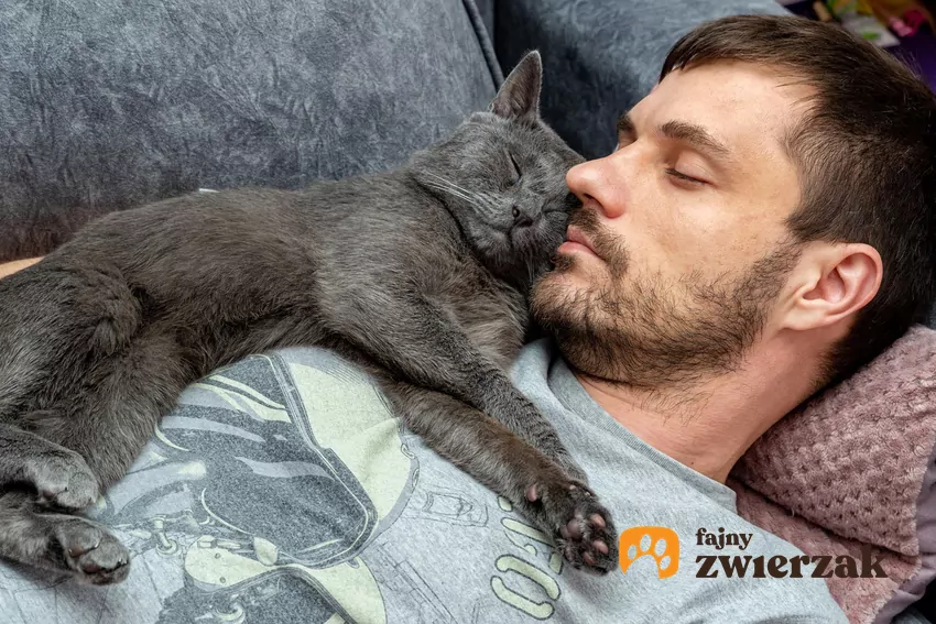 Kot śpi z mężczyzną