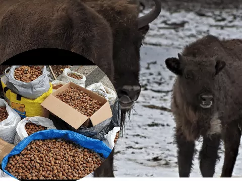 Zbiórka w ZOO w Warszawie