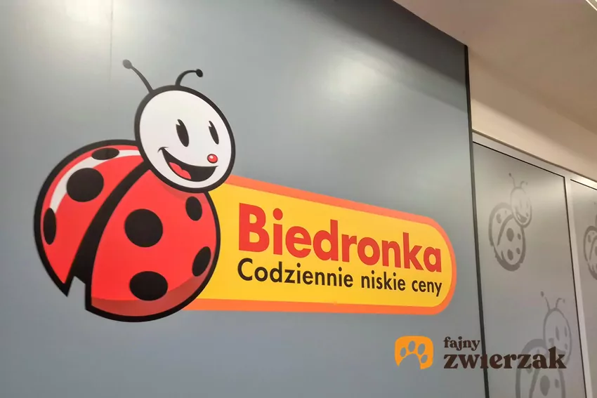 W nowej gazetce Biedronki dużo ciekawych promocji Biedronka
