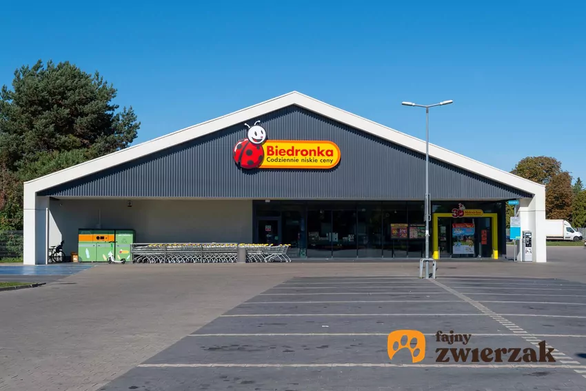 Promocja na zupę dyniową w Biedronce