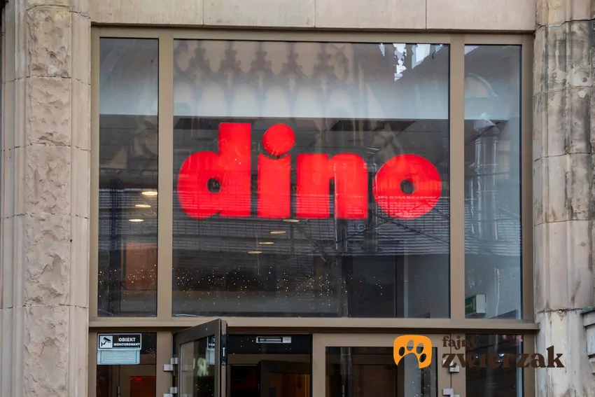 W nowej gazetce Dino dużo ciekawych promocji Dino