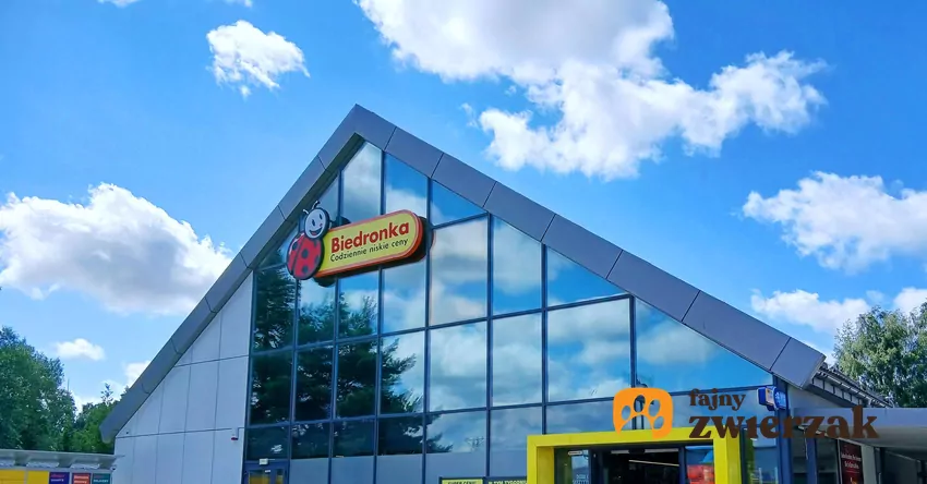 Biedronka