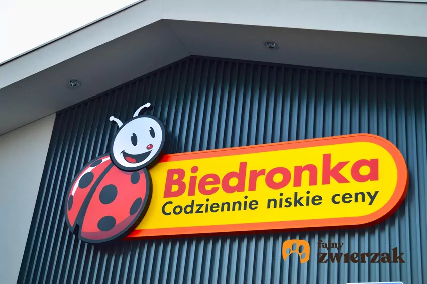 Nowe promocje w Biedronce od 5.10 Biedronka