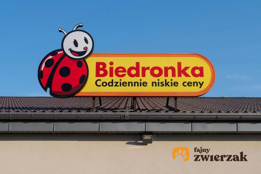 Nowe promocje w Biedronce od 5.10 Biedronka