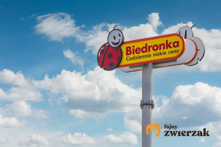 Promocja na kosmetyki Bell w Biedronce