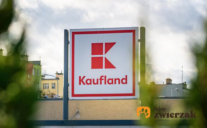 Aktualne promocje w Kauflandzie