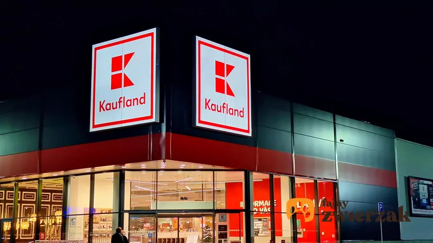 Aktualne promocje w sklepach Kaufland