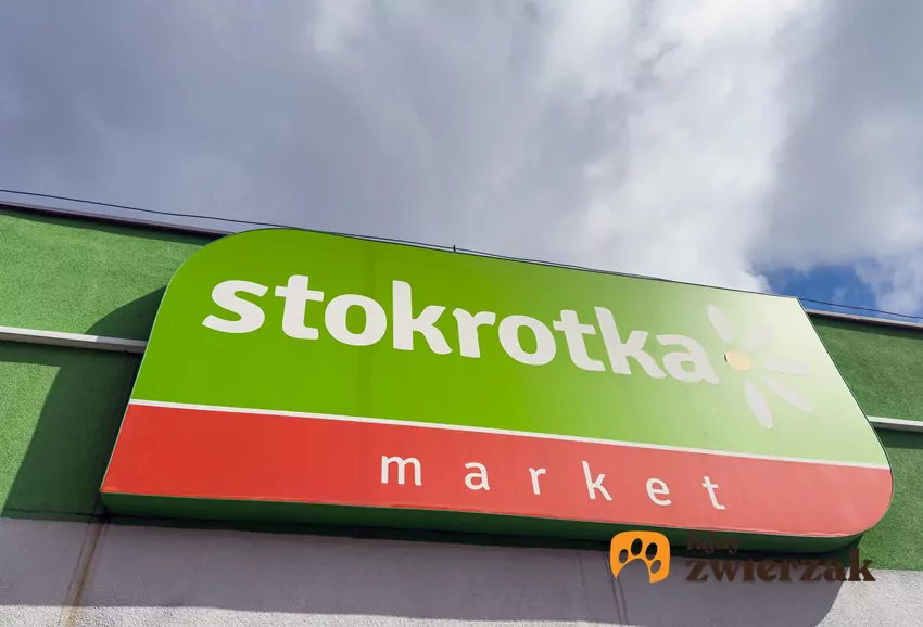 Stokrotka