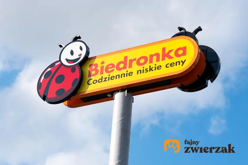 Nowe rabaty w Biedronce w tym tygodniu Biedronka