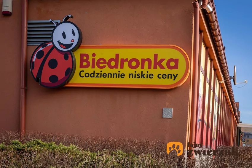 Biedronka