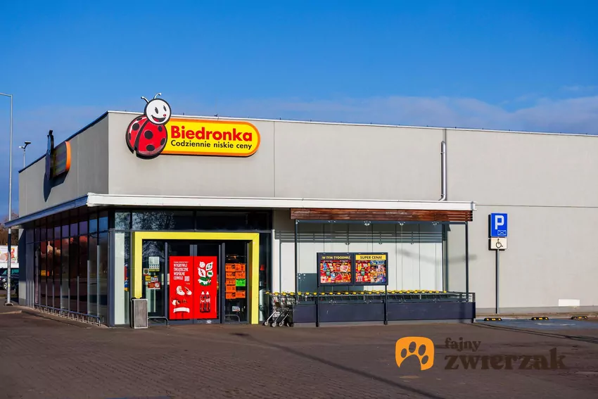 Biedronka