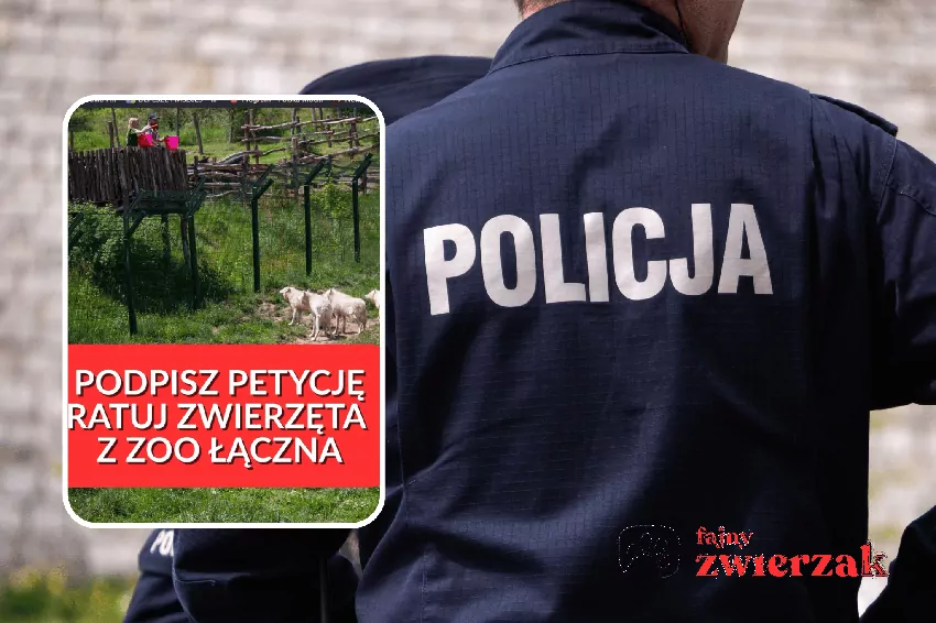 Kolaż zdjęcia policjana i zdjęcia zwierząt w zoo, https://www.facebook.com/photo/?fbid=1746341633593736&set=a.791219982439244&locale=pl_PL, dostęp 14.10.26 r.